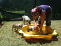 Ambars-Familie-Sommerbad-25.6.2017-5
