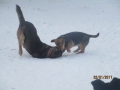 Sven und Letta 22.1.2017 3