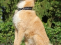 IMG-20141015-WA0008