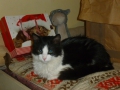 Thomas im Advent noch auf der Station...