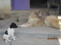 Tzveti und Sandra 5.6.2016