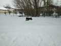 Dima-15.2.21a