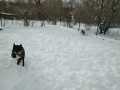 Dima-15.2.21b