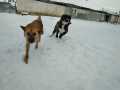 Lena-Dima-15.2.21