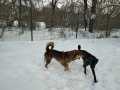 Pedro-Alessio-15.2.21