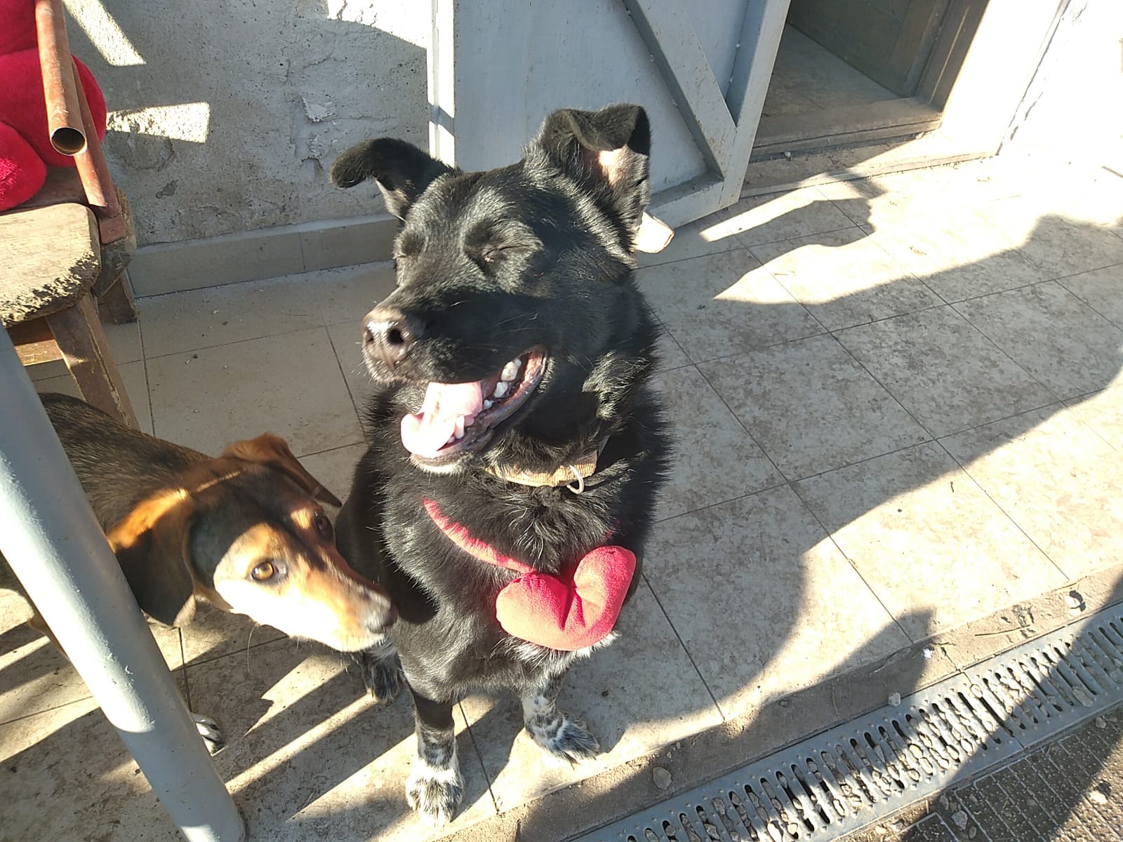 Martí-Robin-13.2.20
