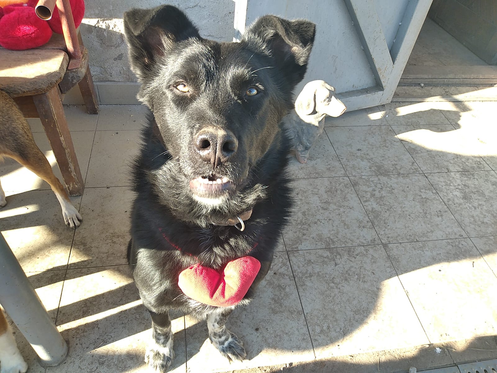 Marti-13.2.20