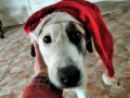 Zack 20.12.19-20.12.19-2