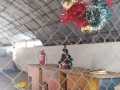 658db32d-c8a1-40f0-97ff-780901ed6bb7