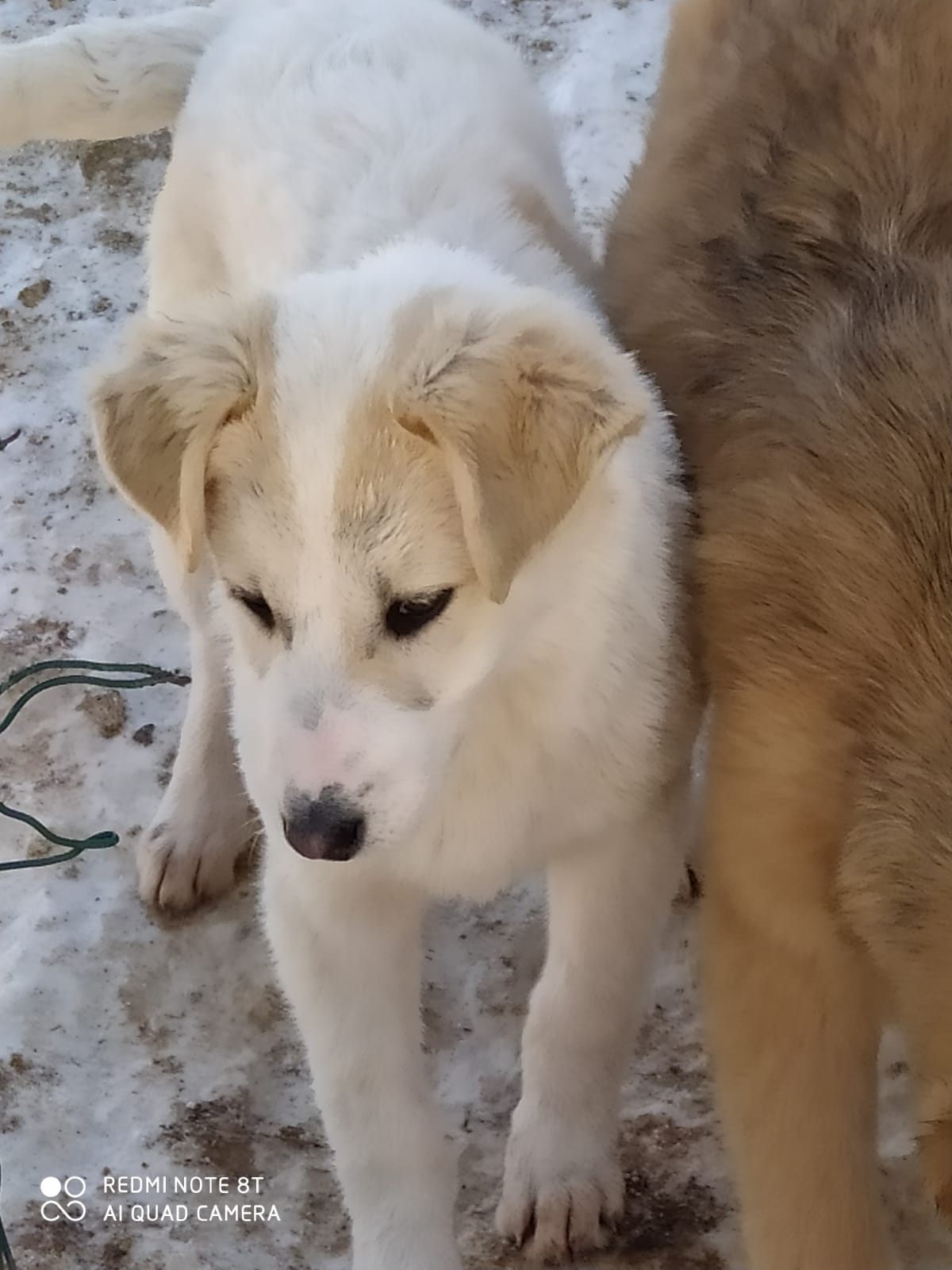 Holly-9.2.20