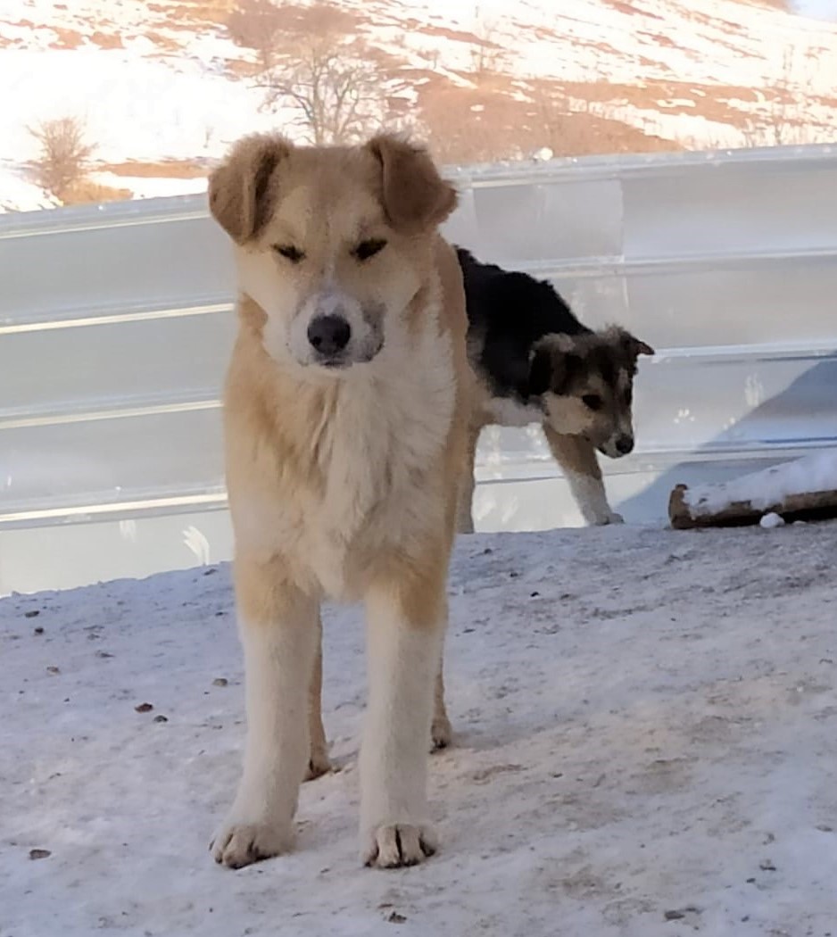 Kalle-9.2.20a