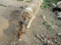 Minni und Sandra 2.4.2016