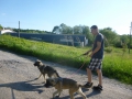 Lupina und Djeri beim ersten Spaziergang 30.5.2015 2