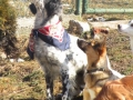 Sisi und Mirta 07.02.2016 1