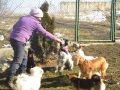 Sonnig und lustig 07.02.2016 3